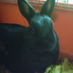 sunny439 - Bild 2