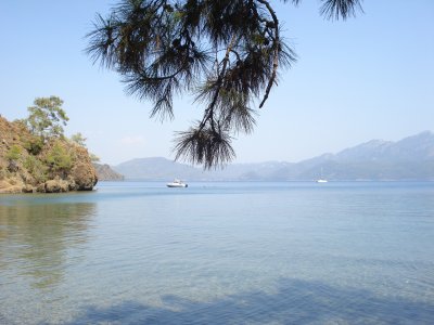ock - Bild 7