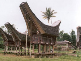 toraja - Bild 2