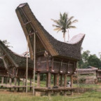 toraja - Bild 2