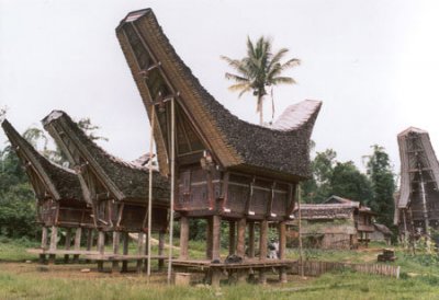 toraja - Bild 2