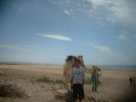 seancar - Bild 3