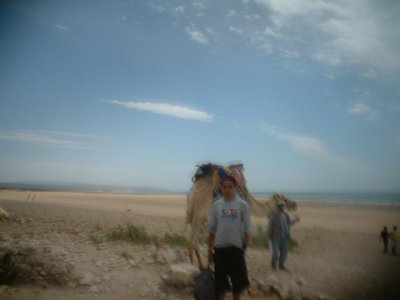 seancar - Bild 3