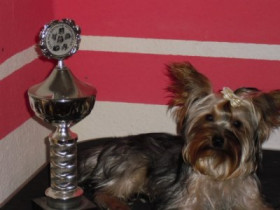 princess81 - Bild 3