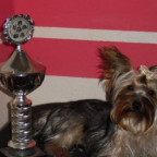 princess81 - Bild 3