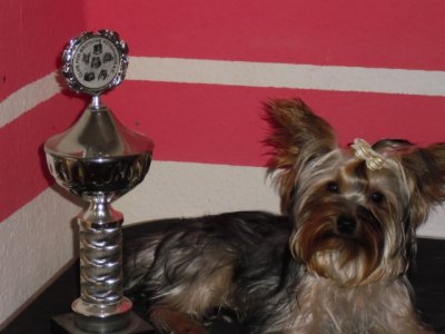 princess81 - Bild 3