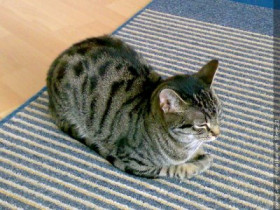 Steve1986 - Bild 2
