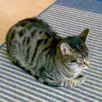 Steve1986 - Bild 2