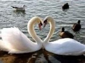 Jacky16 - Bild 6