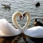 Jacky16 - Bild 6