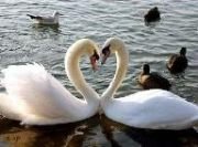 Jacky16 - Bild 6