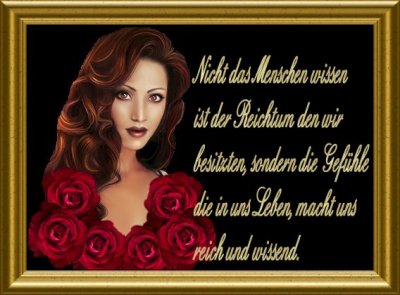 Soffy3 - Bild 4