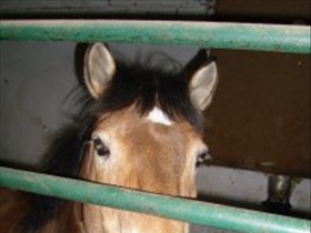Kerschtin - Bild 6