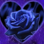 Tinalady - Bild 5