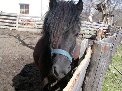 Onkelzgirl - Bild 3