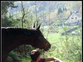 riboksi - Bild 1