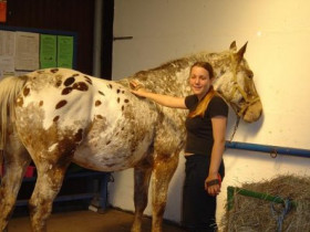 Sweetela16 - Bild 1