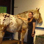 Sweetela16 - Bild 1