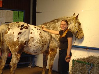 Sweetela16 - Bild 1