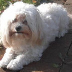 Karola - Bild 2