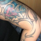 Bunny253 - Bild 2