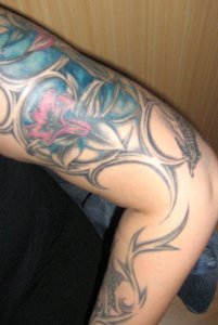Bunny253 - Bild 2