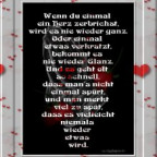 xsonnenscheinx12 - Bild 7