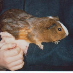 elisabethvrh - Bild 5