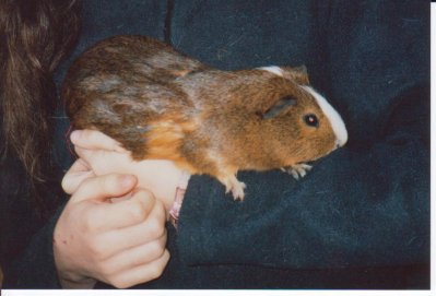 elisabethvrh - Bild 5