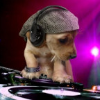 DJAngel - Bild 3