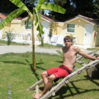TLD - Bild 2
