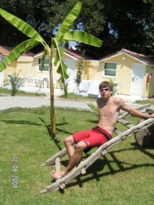 TLD - Bild 2