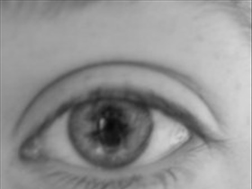 Kleine_1984 - Bild 3