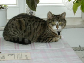 minka-bw - Bild 3