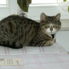 minka-bw - Bild 3