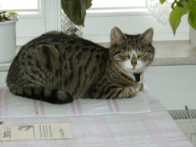 minka-bw - Bild 3