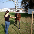 rabia09 - Bild 2