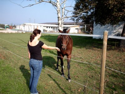 rabia09 - Bild 2