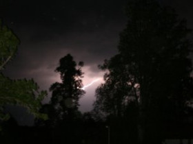Hasenase - Bild 2