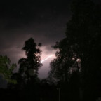 Hasenase - Bild 2