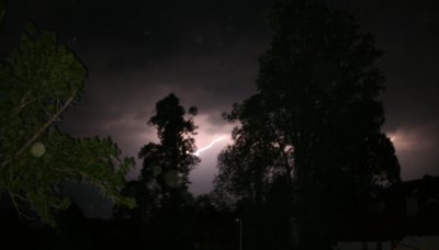 Hasenase - Bild 2