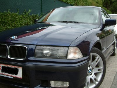 trux. - Bild 2