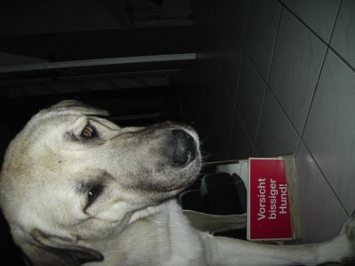 melmo - Bild 2
