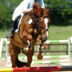 JuliPR - Bild 2