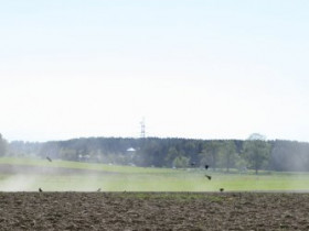 Hasenase - Bild 7