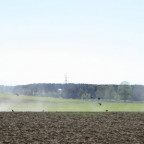 Hasenase - Bild 7