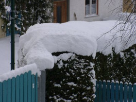 Hasenase - Bild 3