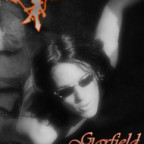 Garfield - Bild 1