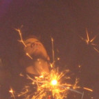 Tammy - Bild 5
