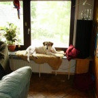 Schimmelreiterin - Bild 6